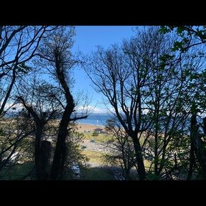 Meet your Posher, Cora